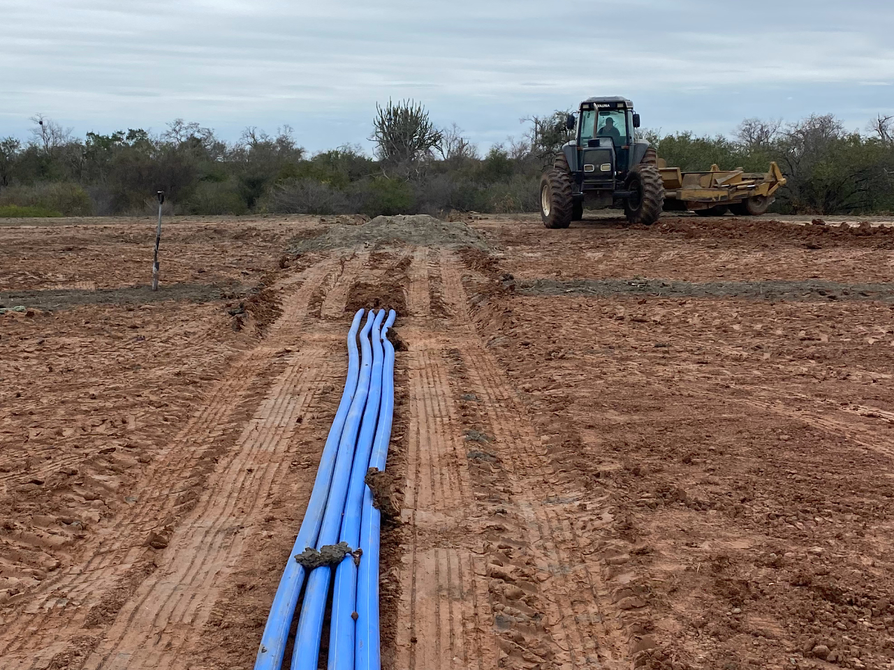 Colocacion de Caños
