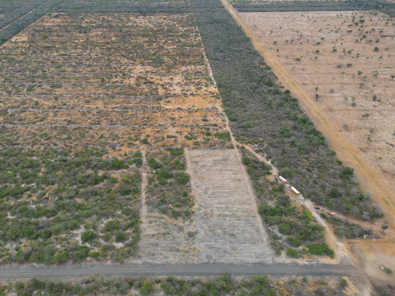 Limpieza de Zona Tanque